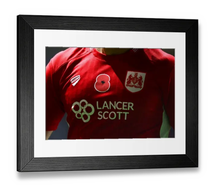 Framed Print : Poppy Tribute: Bristol City vs Brighton and Hove Albion in Championship Clash Framed Print : Poppy Tribute: Bristol City vs Brighton and Hove Albion in Championship Clash