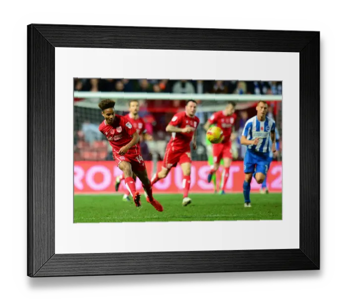 Framed Print : Bristol City's Bobby Reid in Action Against Brighton & Hove Albion, Sky Bet Championship, 2016 Framed Print : Bristol City's Bobby Reid in Action Against Brighton & Hove Albion, Sky Bet Championship, 2016