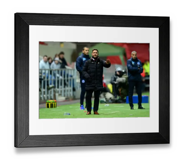 Framed Print : Johnson's Bristol City Face Off Against Brighton in Sky Bet Championship Showdown
