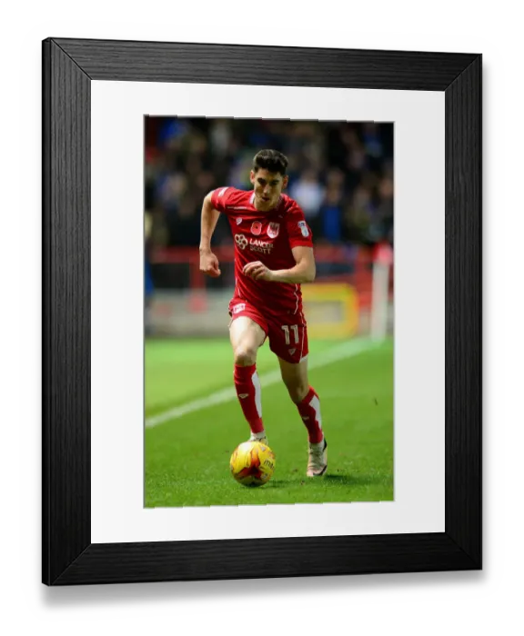 Framed Print : Thrilling O'Dowda Display: Bristol City vs Brighton & Hove Albion, Sky Bet Championship (November 2016)