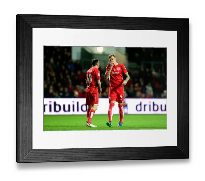 Framed Print : Aden Flint's Disappointment: Bristol City vs Brighton and Hove Albion, 2016