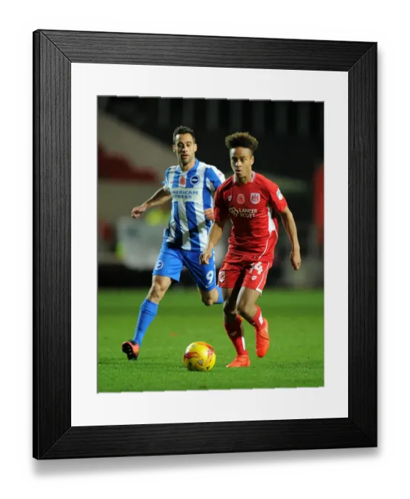 Framed Print : Bobby Reid in Action: Bristol City vs Brighton & Hove Albion, November 2016 (Sky Bet Championship)