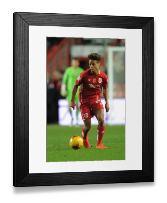 Framed Print : Bobby Reid in Action: Bristol City vs Brighton & Hove Albion (November 2016) Framed Print : Bobby Reid in Action: Bristol City vs Brighton & Hove Albion (November 2016)