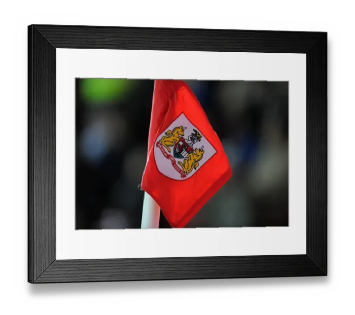 Framed Print : Thrilling Sky Bet Championship Showdown: Bristol City vs Brighton & Hove Albion at Ashton Gate (November 2016) Framed Print : Thrilling Sky Bet Championship Showdown: Bristol City vs Brighton & Hove Albion at Ashton Gate (November 2016)