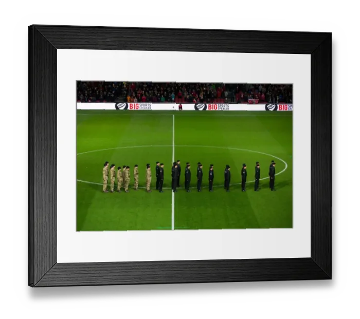 Framed Print : Soldiers Grand Entrance: Bristol City vs. Brighton & Hove Albion, 2016