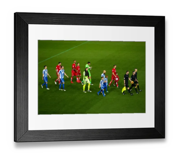 Framed Print : Championship Showdown: Bristol City vs Brighton & Hove Albion (November 2016)