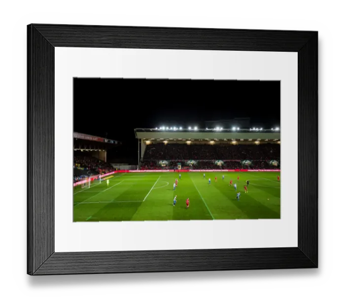 Framed Print : Remembrance Day Tribute: A Minute's Silence at Bristol City vs Brighton & Hove Albion (November 5, 2016)