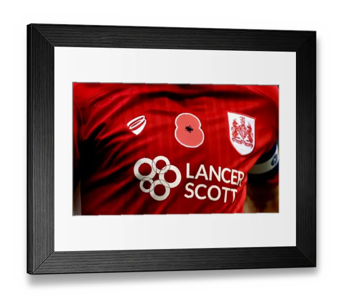 Framed Print : Birmingham City v Bristol City 191116 Framed Print : Birmingham City v Bristol City 191116
