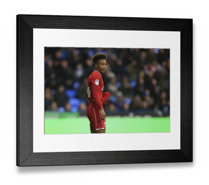 Framed Print : Bobby Reid in Action: Reading vs. Bristol City Championship Clash - November 2016