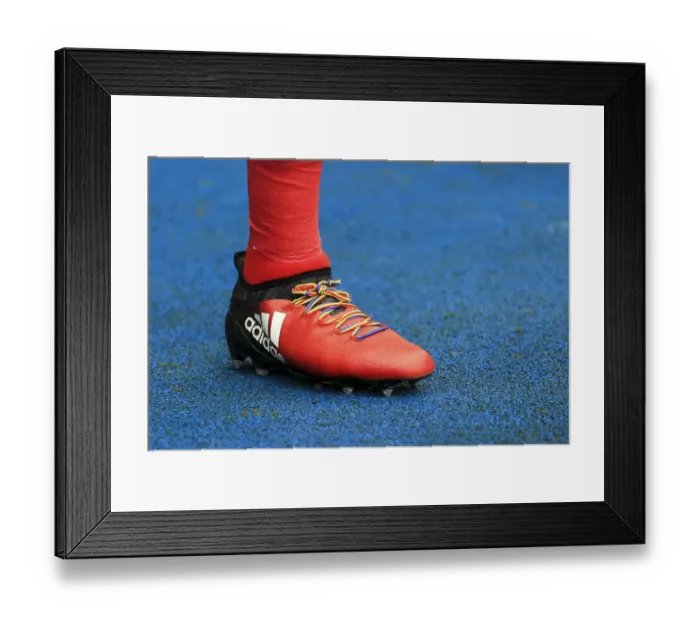 Framed Print : Bristol City's Lee Tomlin Supports Stonewall UK with Rainbow Laces at Reading Match Framed Print : Bristol City's Lee Tomlin Supports Stonewall UK with Rainbow Laces at Reading Match
