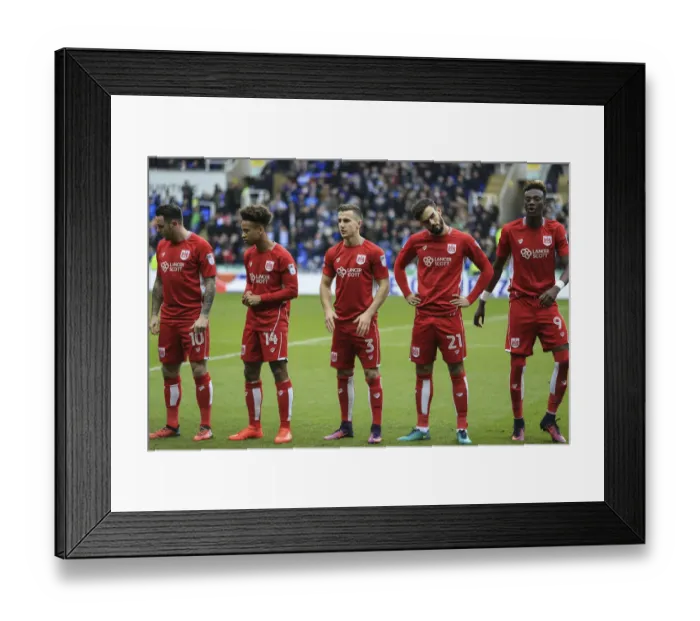 Framed Print : Bristol City Starting XI at Reading's Madejski Stadium, November 2016 - Sky Bet Championship