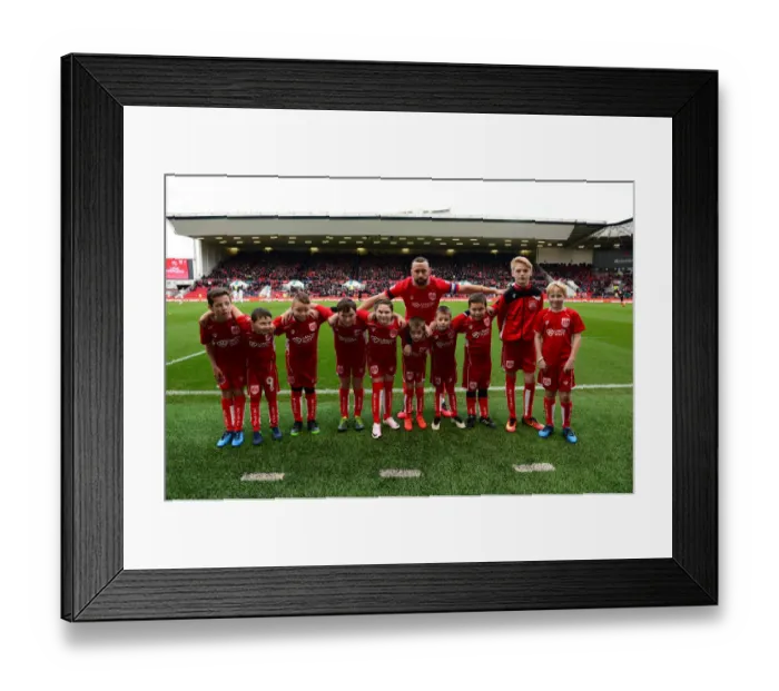 Framed Print : Bristol City vs Ipswich Town: Mascots Clash at Ashton Gate, Sky Bet Championship (December 2016) Framed Print : Bristol City vs Ipswich Town: Mascots Clash at Ashton Gate, Sky Bet Championship (December 2016)