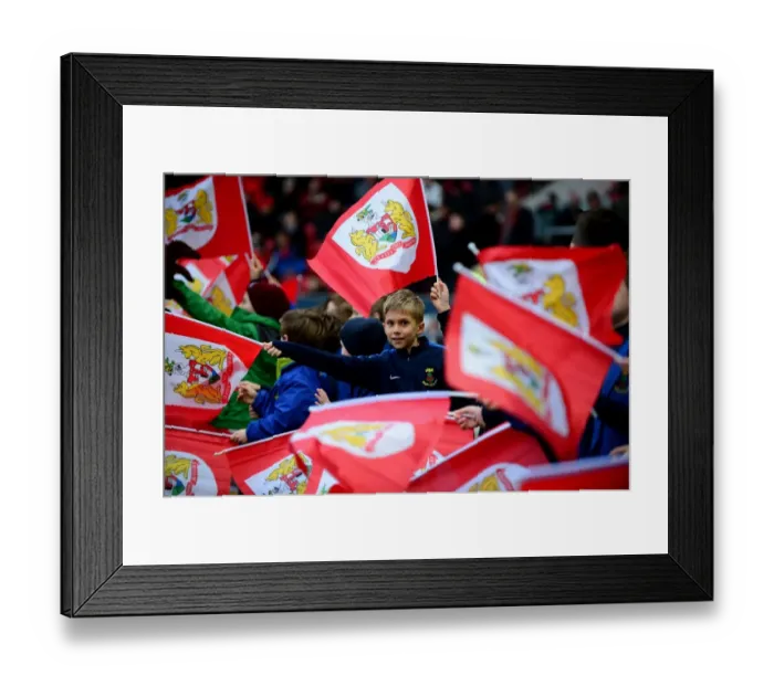 Framed Print : Bristol City vs Ipswich Town: Flagbearers at Ashton Gate, Sky Bet Championship (December 2016)