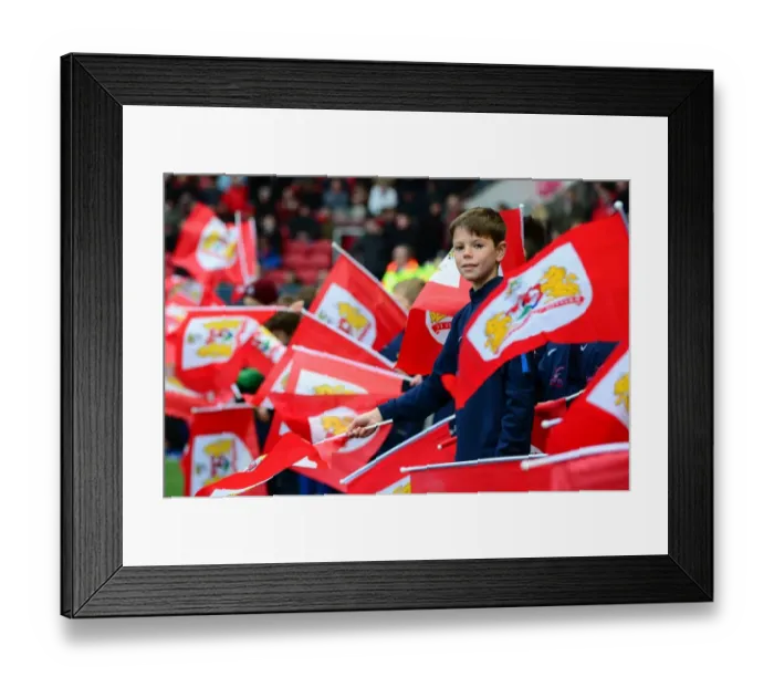 Framed Print : Flagbearers in Action: Bristol City vs Ipswich Town, Sky Bet Championship (December 2016) - Ashton Gate Stadium