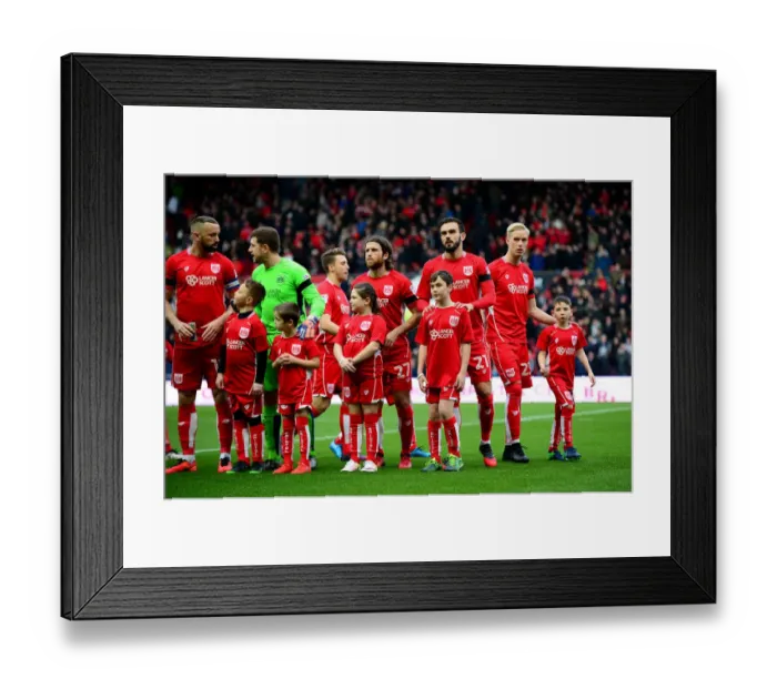 Framed Print : Bristol City vs Ipswich Town Mascots Clash at Ashton Gate, Sky Bet Championship (December 2016) Framed Print : Bristol City vs Ipswich Town Mascots Clash at Ashton Gate, Sky Bet Championship (December 2016)