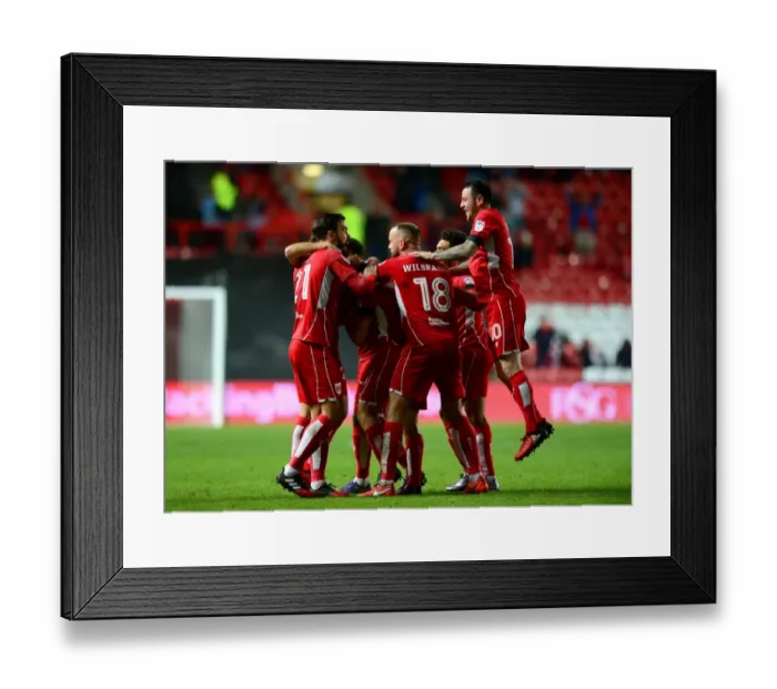 Framed Print : Bristol City: Luke Freeman's Euphoric Moment as He Scores Against Ipswich Town (03 / 12 / 2016) Framed Print : Bristol City: Luke Freeman's Euphoric Moment as He Scores Against Ipswich Town (03 / 12 / 2016)