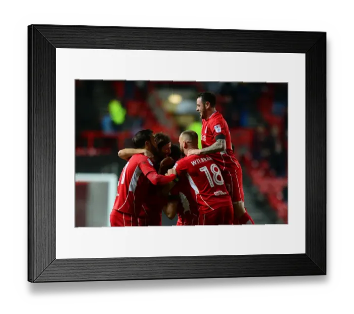 Framed Print : Bristol City Celebrate Luke Freeman's Goal Against Ipswich Town (03 / 12 / 2016) Framed Print : Bristol City Celebrate Luke Freeman's Goal Against Ipswich Town (03 / 12 / 2016)