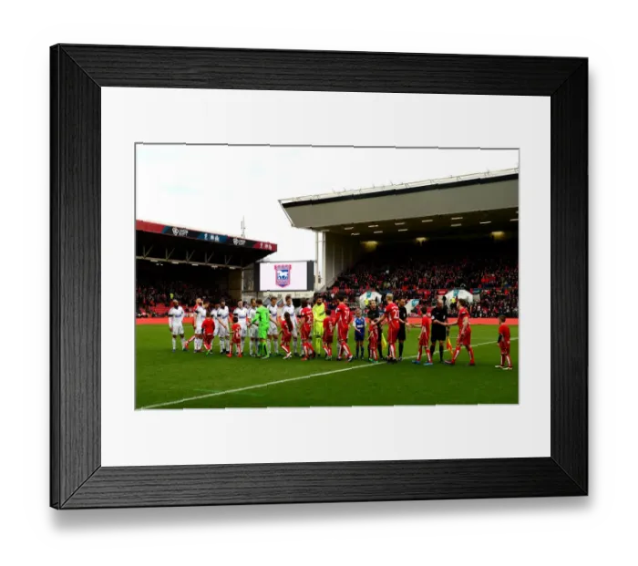 Framed Print : Mascots Clash: Bristol City vs Ipswich Town, Sky Bet Championship (December 2016), Ashton Gate Framed Print : Mascots Clash: Bristol City vs Ipswich Town, Sky Bet Championship (December 2016), Ashton Gate