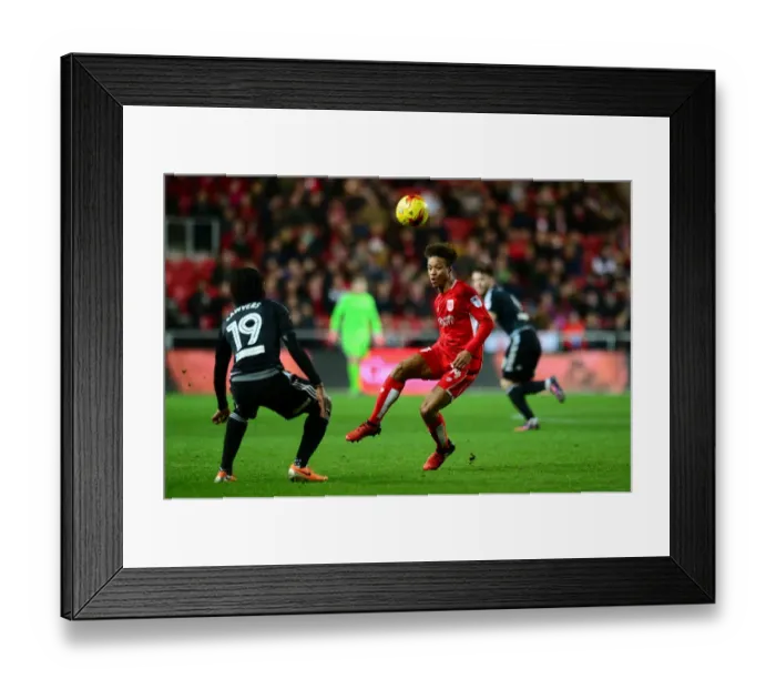 Framed Print : Bobby Reid in Action: Bristol City vs. Brentford, Sky Bet Championship (131216) Framed Print : Bobby Reid in Action: Bristol City vs. Brentford, Sky Bet Championship (131216)