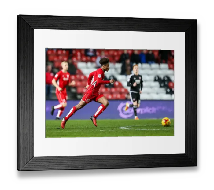 Framed Print : Bobby Reid Thrills Crowd with Goal: Bristol City vs. Brentford, Sky Bet Championship (131216)