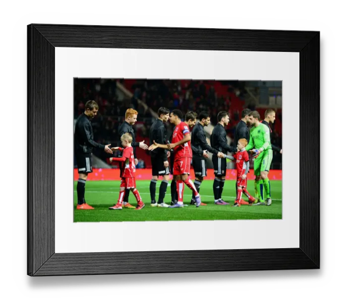 Framed Print : Bristol City vs Brentford: Mascots Face-Off at Ashton Gate, Sky Bet Championship (December 13, 2016)
