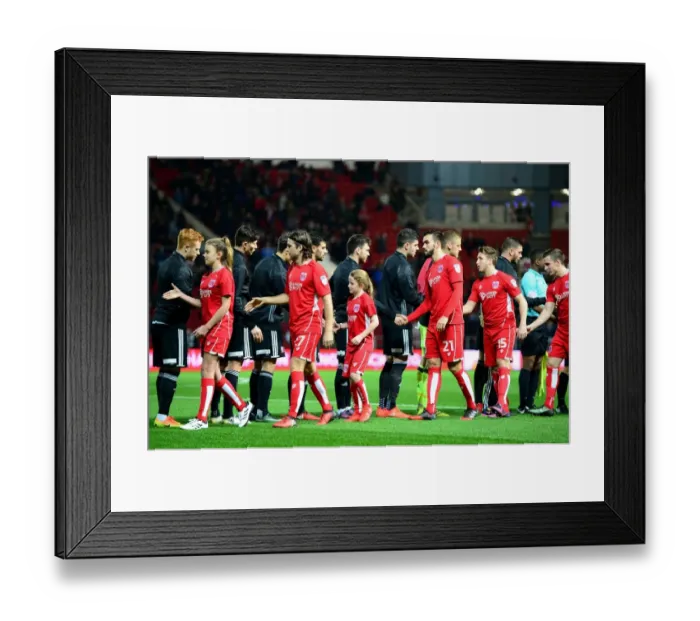 Framed Print : Bristol City vs Brentford: Mascots Face-Off in Sky Bet Championship Match, Ashton Gate, Bristol