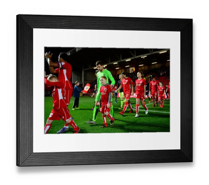 Framed Print : Sky Bet Championship Showdown: Bristol City vs Brentford at Ashton Gate Framed Print : Sky Bet Championship Showdown: Bristol City vs Brentford at Ashton Gate