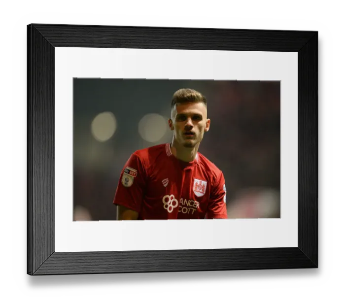 Framed Print : Jamie Paterson in Action: Bristol City vs Preston North End, Sky Bet Championship (December 17, 2016) Framed Print : Jamie Paterson in Action: Bristol City vs Preston North End, Sky Bet Championship (December 17, 2016)