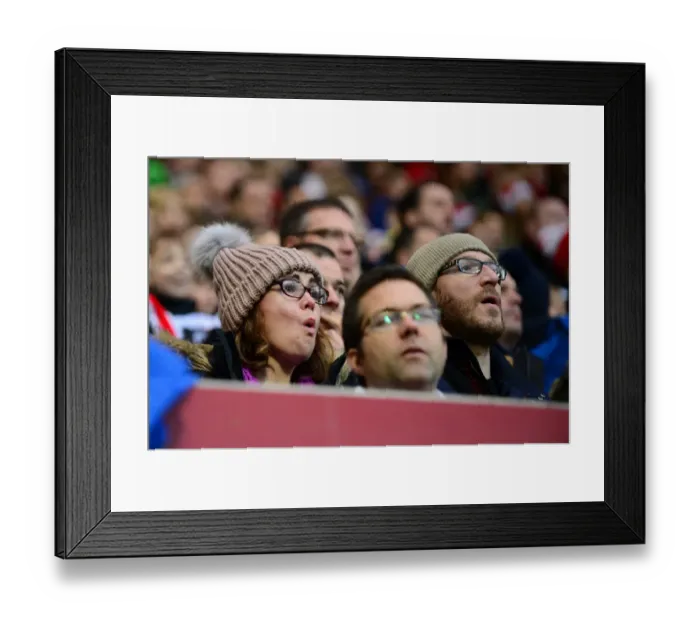 Framed Print : Bristol City Fans in Action at Ashton Gate: Bristol City vs. Preston North End, Sky Bet Championship (17 / 12 / 2016)