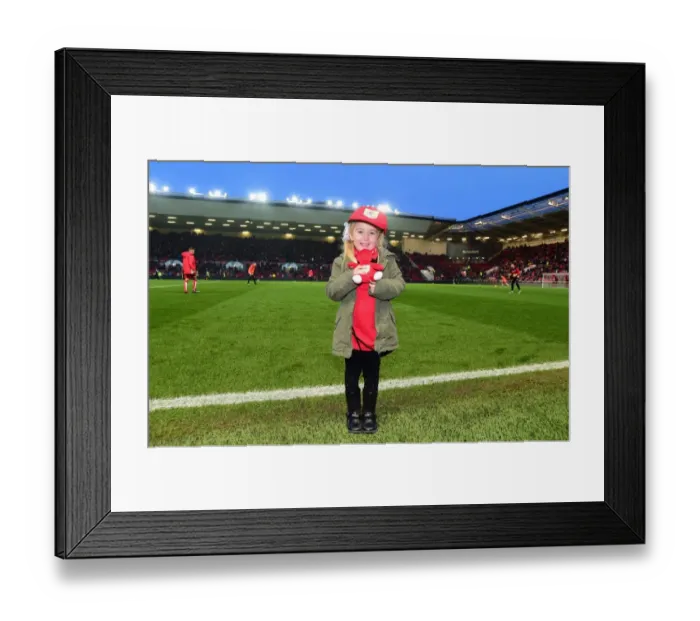 Framed Print : Sky Bet Championship Showdown: Bristol City vs Preston North End at Ashton Gate (17 / 12 / 2016) Framed Print : Sky Bet Championship Showdown: Bristol City vs Preston North End at Ashton Gate (17 / 12 / 2016)