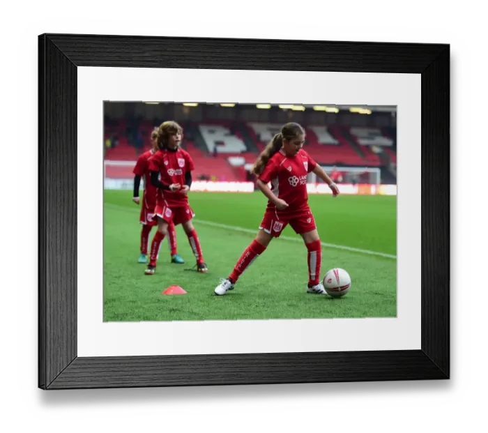 Framed Print : Sky Bet Championship Showdown: Bristol City vs Preston North End at Ashton Gate (17 / 12 / 2016)