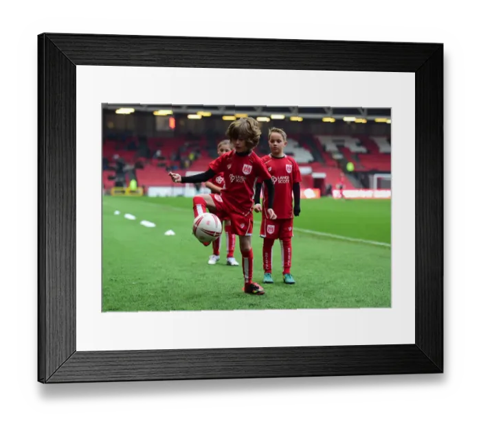 Framed Print : Sky Bet Championship Showdown: Bristol City vs Preston North End at Ashton Gate (17 / 12 / 2016)