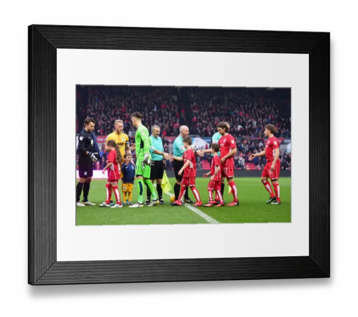 Framed Print : Sky Bet Championship Showdown: Bristol City vs Preston North End at Ashton Gate (17 / 12 / 2016)