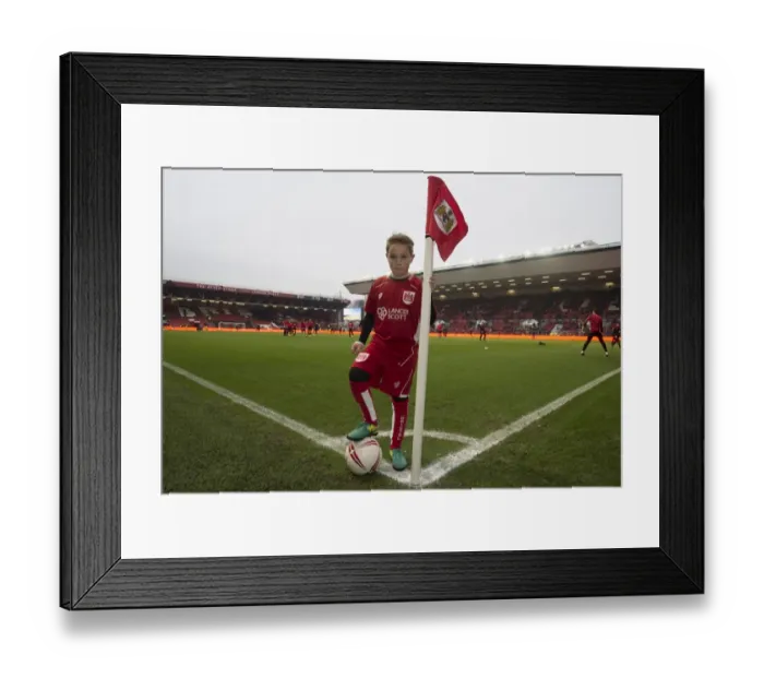 Framed Print : Sky Bet Championship Showdown: Mascot's Thrill at Ashton Gate - Bristol City vs. Burton Albion (4 March 2017) Framed Print : Sky Bet Championship Showdown: Mascot's Thrill at Ashton Gate - Bristol City vs. Burton Albion (4 March 2017)