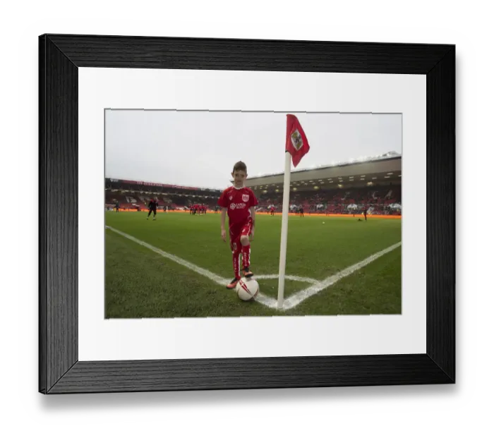 Framed Print : Sky Bet Championship: Bristol City vs. Burton Albion Clash at Ashton Gate Framed Print : Sky Bet Championship: Bristol City vs. Burton Albion Clash at Ashton Gate