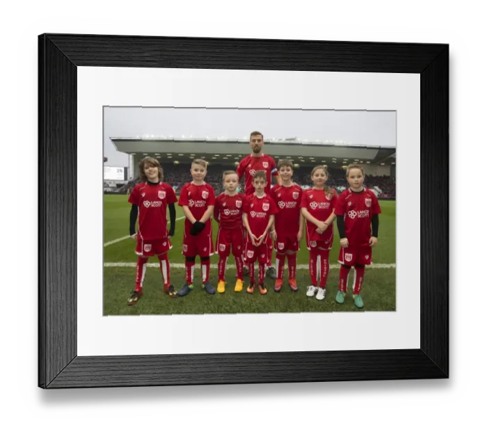 Framed Print : Bristol City vs Preston North End Clash in Sky Bet Championship at Ashton Gate (17 / 12 / 2016)