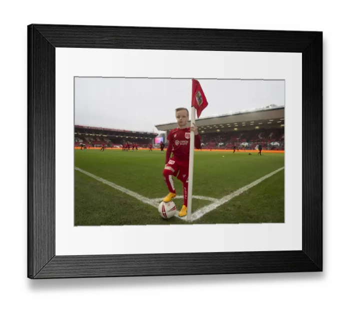 Framed Print : Sky Bet Championship Showdown: Mascot's Excitement at Ashton Gate - Bristol City vs Burton Albion (4 March 2017) Framed Print : Sky Bet Championship Showdown: Mascot's Excitement at Ashton Gate - Bristol City vs Burton Albion (4 March 2017)