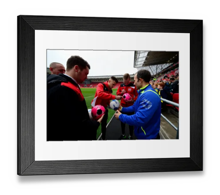 Framed Print : Bristol City FC: Jamie Paterson and Gustav Engvall's Encounter at Ashton Gate - Sky Bet Championship Clash Against Preston North End (17 / 12 / 2016)
