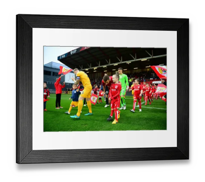 Framed Print : Bristol City v Preston North End 171216