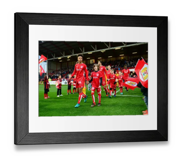 Framed Print : Sky Bet Championship Showdown: Bristol City vs Preston North End at Ashton Gate - December 17, 2016 Framed Print : Sky Bet Championship Showdown: Bristol City vs Preston North End at Ashton Gate - December 17, 2016