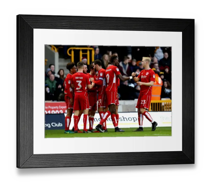Framed Print : Tammy Abraham's Goal Celebration: Wolverhampton Wanderers vs. Bristol City (December 26, 2016) Framed Print : Tammy Abraham's Goal Celebration: Wolverhampton Wanderers vs. Bristol City (December 26, 2016)