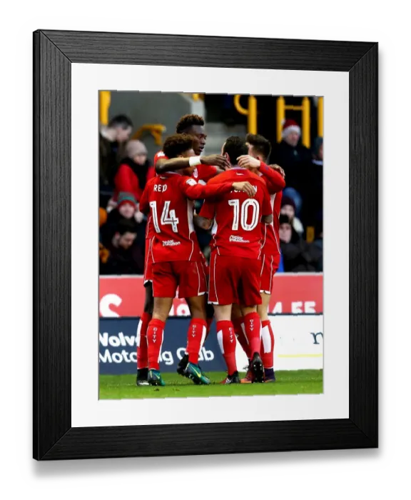 Framed Print : Tammy Abraham's Euphoric Goal Celebration: Wolverhampton Wanderers vs. Bristol City (December 2016)