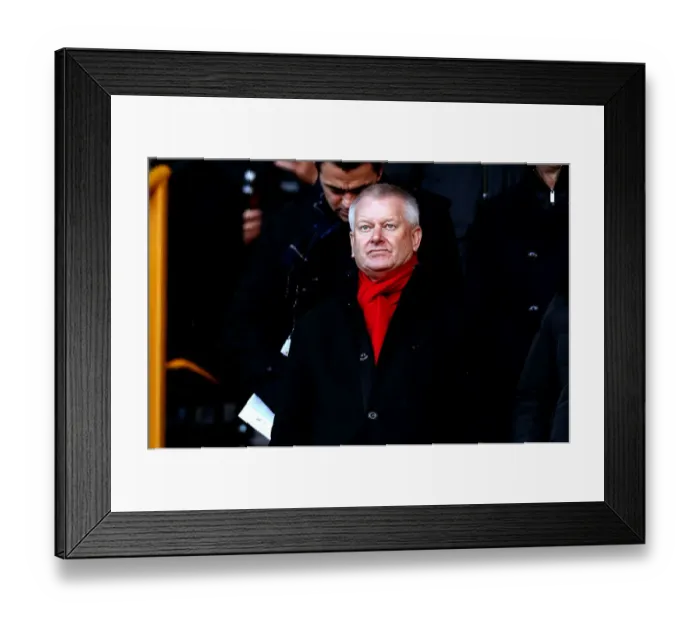 Framed Print : Steve Lansdown at Molineux: Bristol City's Majority Shareholder During Wolverhampton Wanderers vs. Bristol City (December 2016)