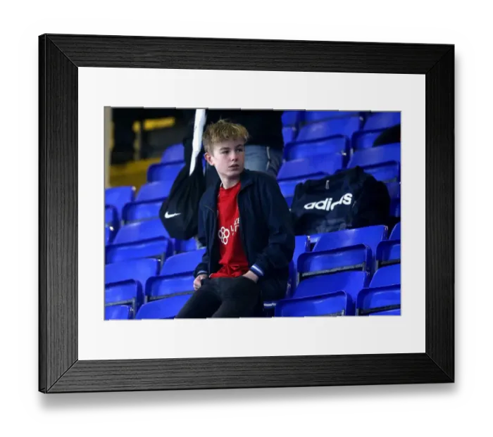 Framed Print : Bristol City Fans Celebrate Championship Victory at Ipswich Town's Portman Road Framed Print : Bristol City Fans Celebrate Championship Victory at Ipswich Town's Portman Road