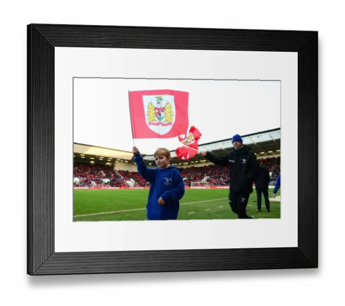 Framed Print : Bristol City vs Reading: Half Time Entertainment at Ashton Gate, January 2017 Framed Print : Bristol City vs Reading: Half Time Entertainment at Ashton Gate, January 2017