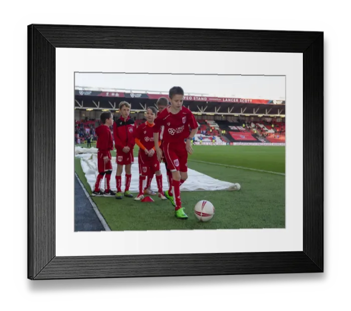 Framed Print : Mascot's Excited Anticipation at Ashton Gate: Bristol City vs Reading, 2017