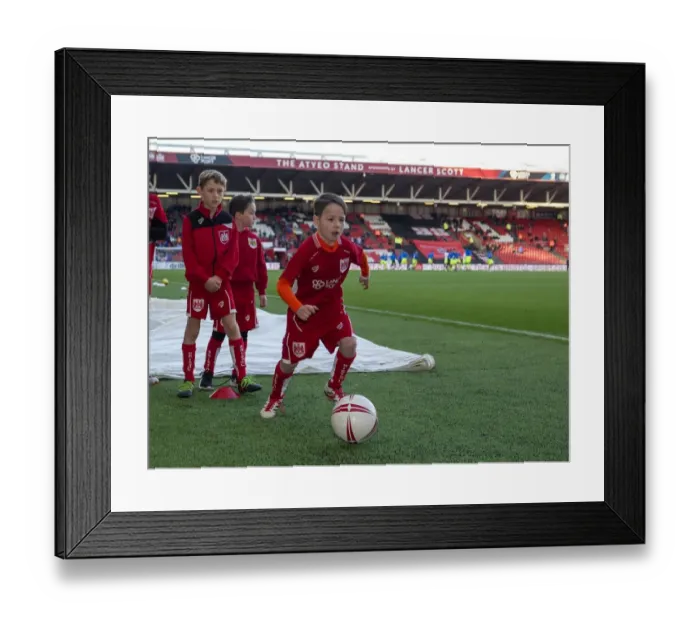 Framed Print : Bristol City vs Reading: Thrill at Ashton Gate - Mascot's Excitement