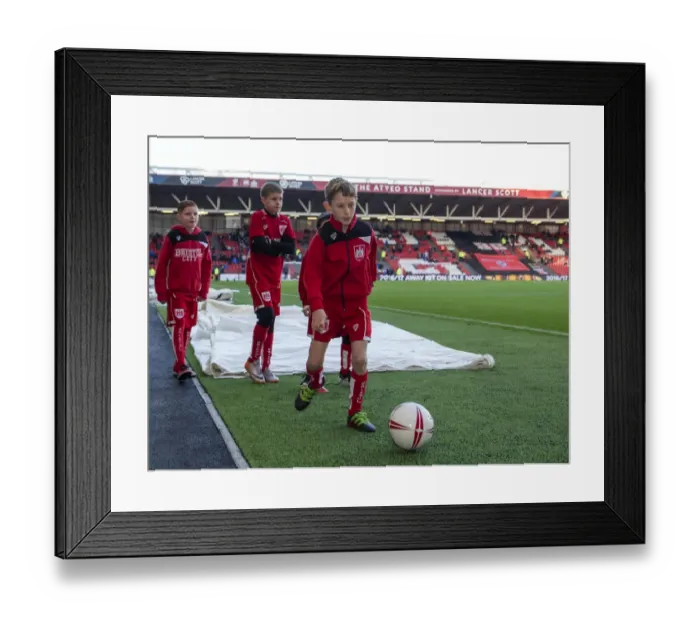 Framed Print : Bristol City v Reading: Mascot's Excitement at Ashton Gate ahead of the Sky Bet Championship Match Framed Print : Bristol City v Reading: Mascot's Excitement at Ashton Gate ahead of the Sky Bet Championship Match