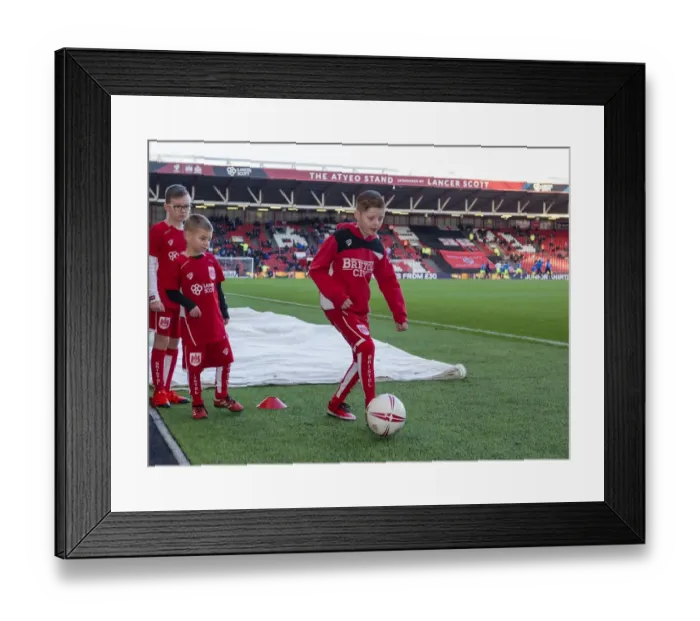 Framed Print : Mascot's Thrilling Anticipation at Ashton Gate: Bristol City vs Reading, 2017