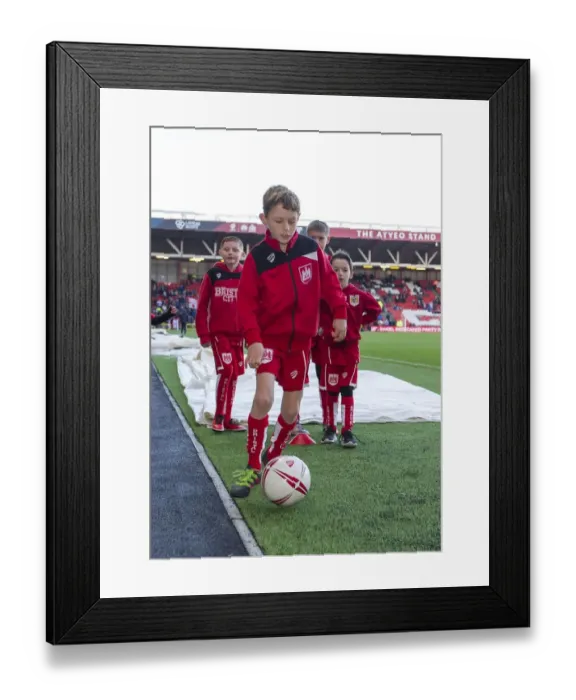 Framed Print : Bristol City vs Reading: Mascot at Ashton Gate Ahead of Championship Clash, 2017 Framed Print : Bristol City vs Reading: Mascot at Ashton Gate Ahead of Championship Clash, 2017